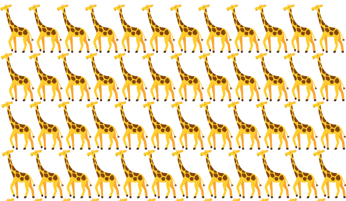 Encuentra las diferentes jirafas en esta imagen.